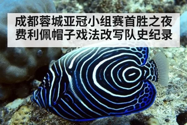 成都蓉城亚冠小组赛首胜之夜费利佩帽子戏法改写队史纪录